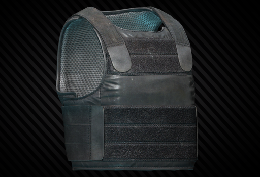 Бронежилет PACA Soft Armor