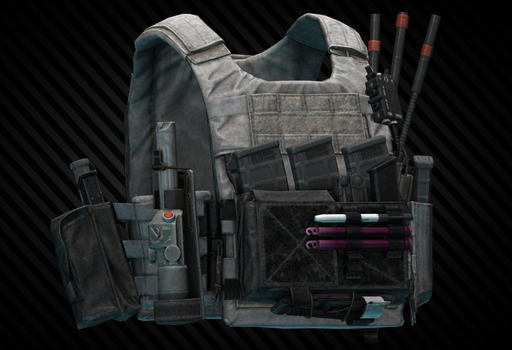 Spiritus Systems LV-119 Plate Carrier (Black Division V1)