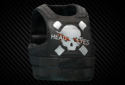 Бронежилет NFM "THOR Concealable Reinforced Vest" (Head Eyes) По умолчанию