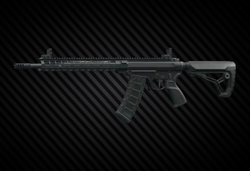 Custom Guns NL545 (DI) 5.45x39 assault rifle