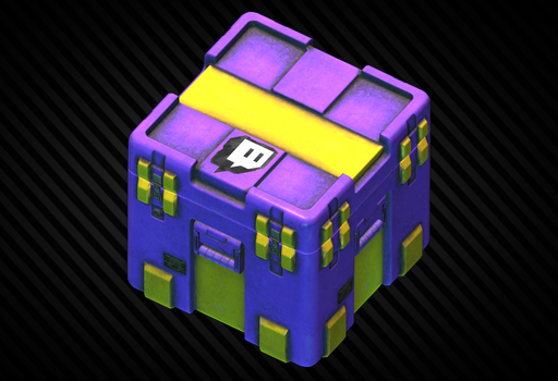 Twitch Winter 2025 case (Epic)