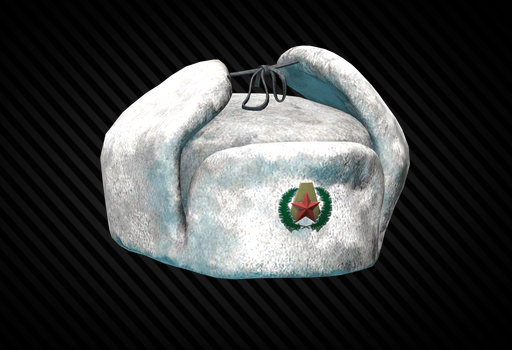 New Year ushanka hat