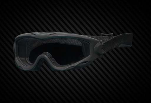 Wiley X SPEAR ballistic goggles (Black)